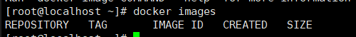 image-20240229232953166