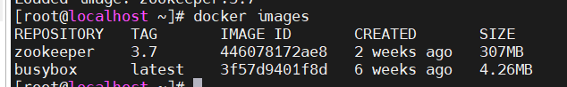 image-20240301200729066