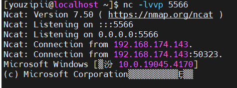 image-20240318191948435