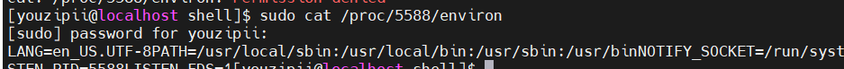image-20240412202332320