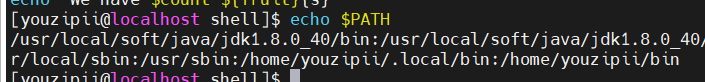 image-20240412211049043