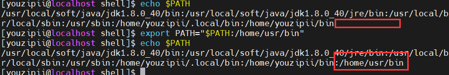 image-20240412211154589