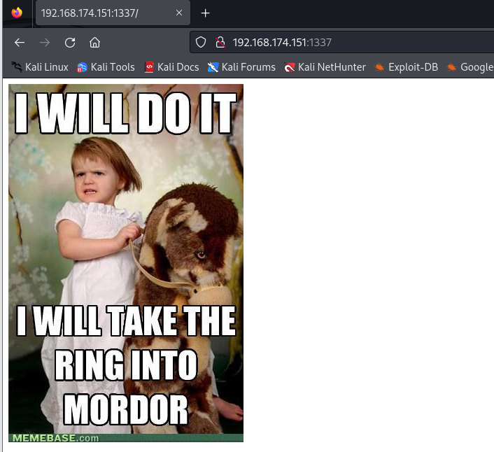 image-20240426144646234