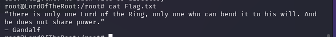 image-20240426223158566