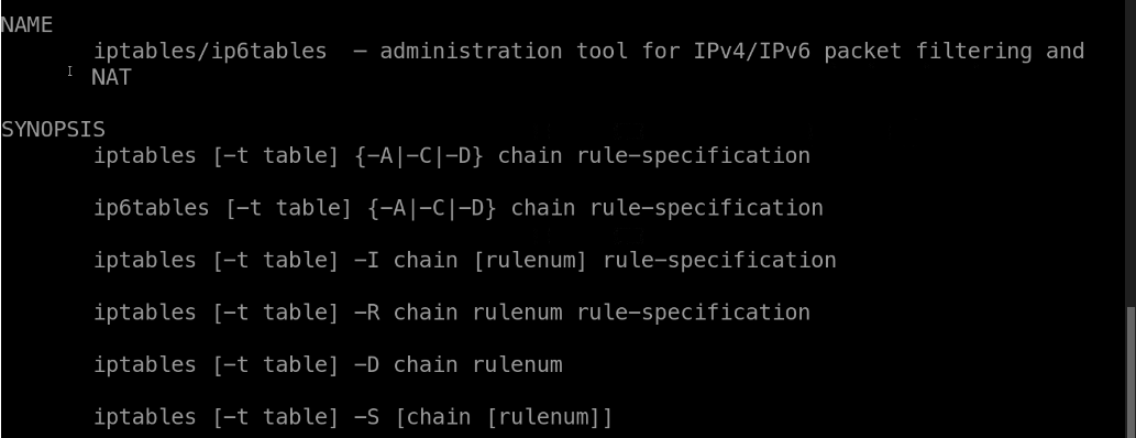 image-20240531165843715