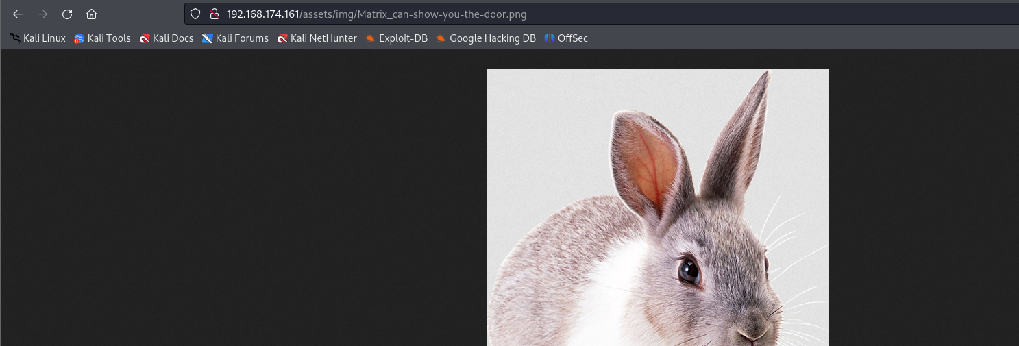 image-20240802094440273