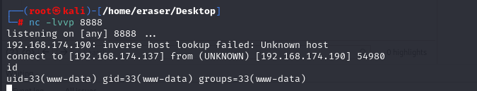 image-20240812223004648