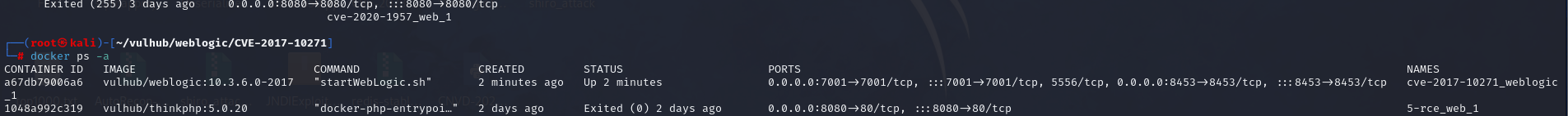 image-20240817154100250