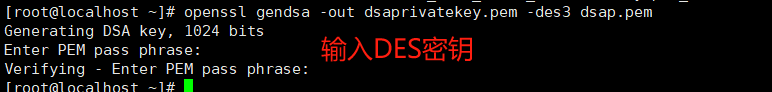 image-20240827211357486