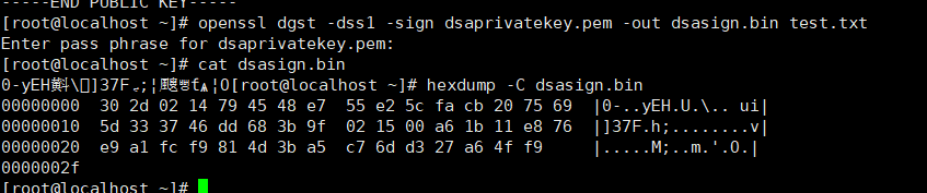 image-20240827211455400