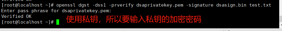 image-20240827211555424