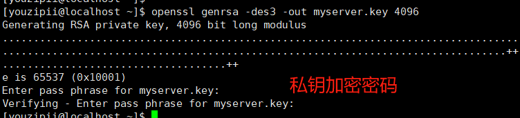 image-20240828133703355