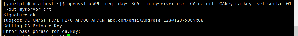 image-20240828134035125