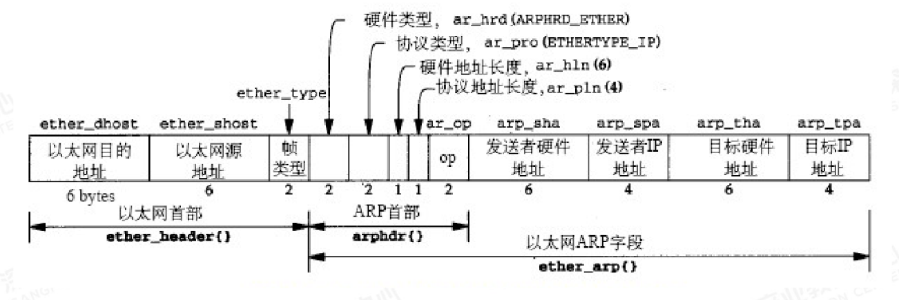 image-20240916215824832