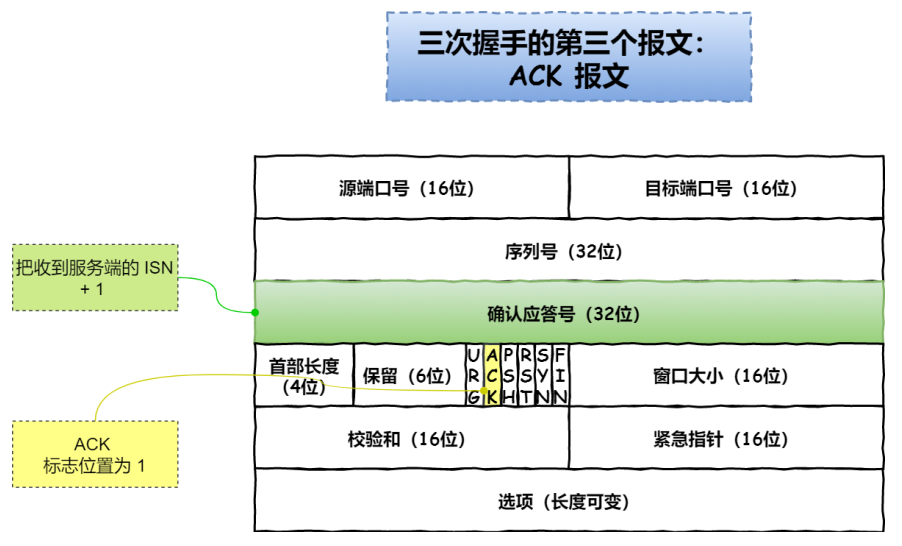 image-20240925100712420