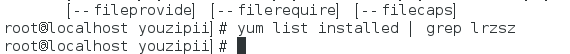 image-20241107154833989
