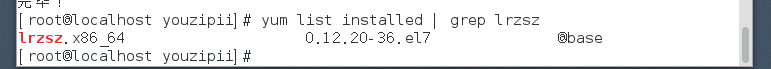 image-20241107155041938