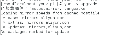 image-20241205222602455