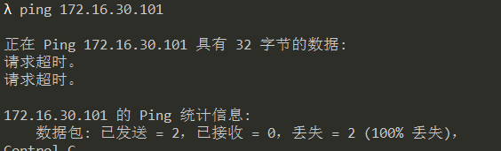 image-20241209162302478