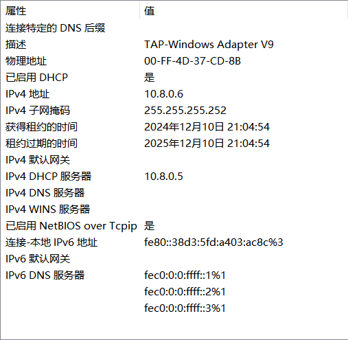 image-20241210211214903