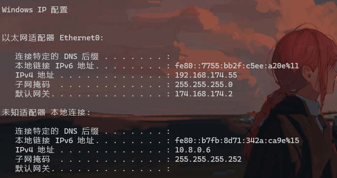 image-20241211102325191
