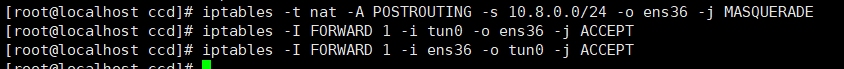image-20241211121717810