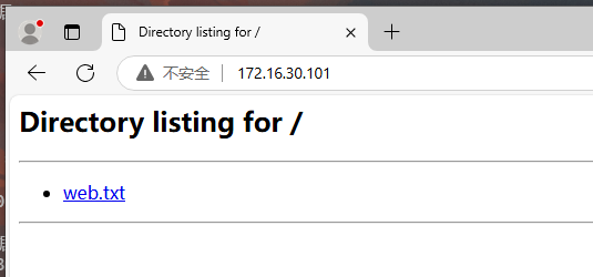 image-20241211121944045
