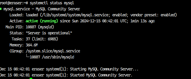 image-20241215164322490