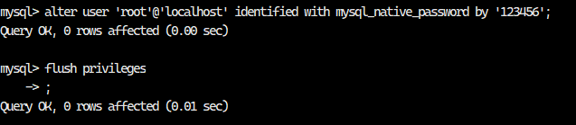 image-20241215164605535