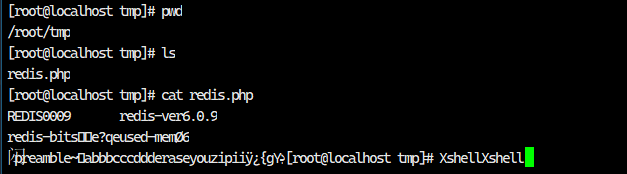 image-20241220213105744