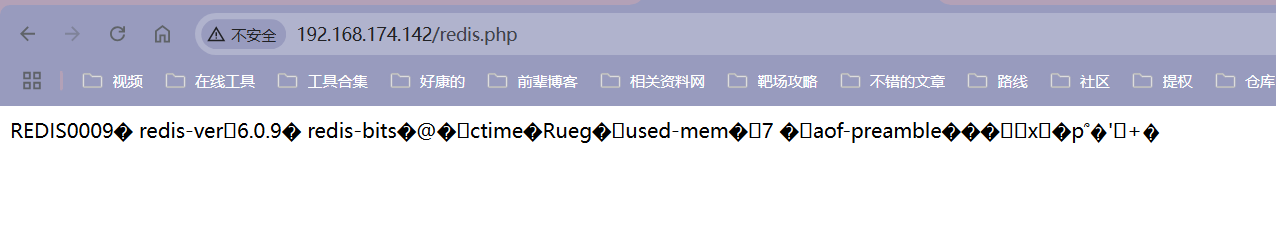 image-20241220214750604
