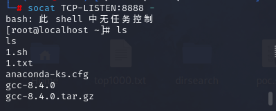 image-20241221105720834